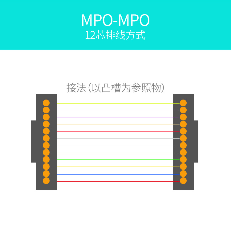 胜为 MPO-MPO母头12芯3米 多模OM4万兆40G光模块集束光纤跳线示例图3