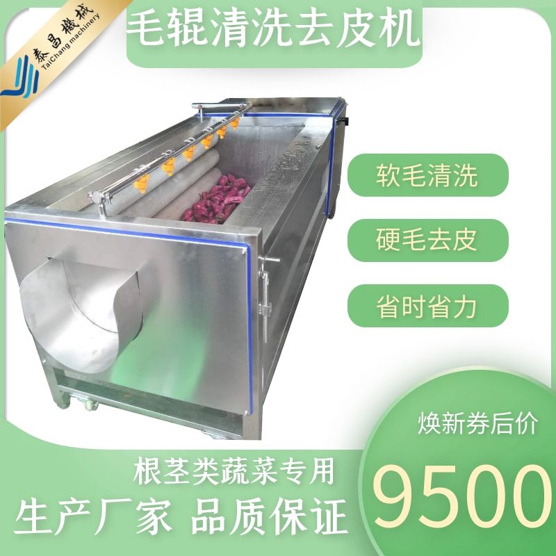 毛刷清洗机价位 芒果毛辊清洗机 果蔬毛辊机 泰昌TC-1500