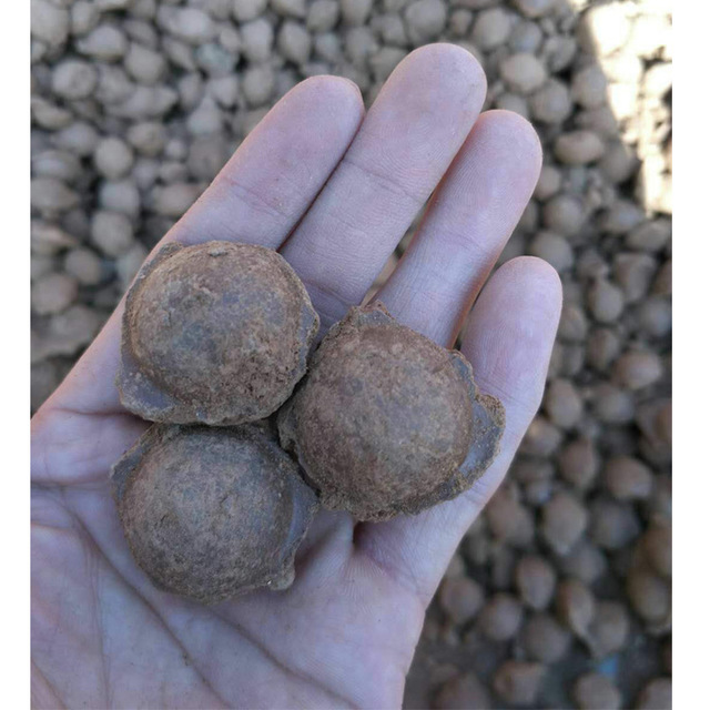 废井黏土球 旧井回填黏土球 优质黏土球 环保黏土球信赖  厂家直销图片