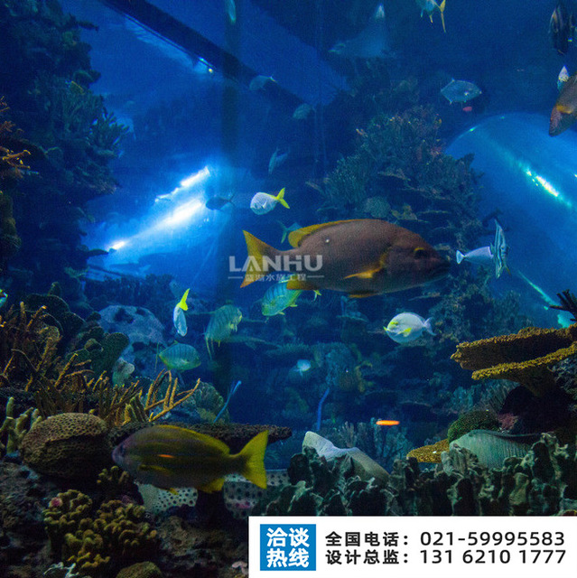 lanhu供应海洋馆设计建造海洋博物馆建设业务 承接海洋博物馆施工 上海海洋博物馆设计