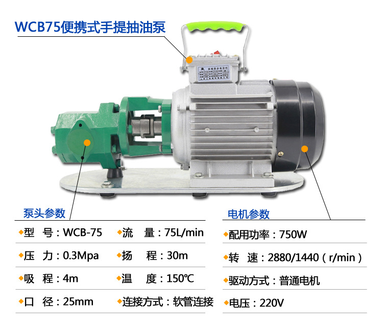 厂家供应 自吸式电动小型WCB75齿轮泵 大流量220V电动便携手提泵示例图4