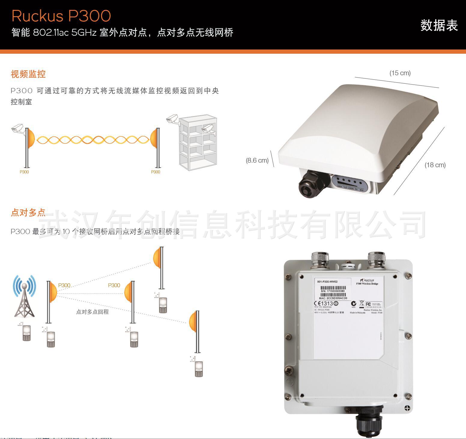 Ruckus美国优科901-P300-CN02 双频 zoneflexP300室外网桥AP正品示例图4