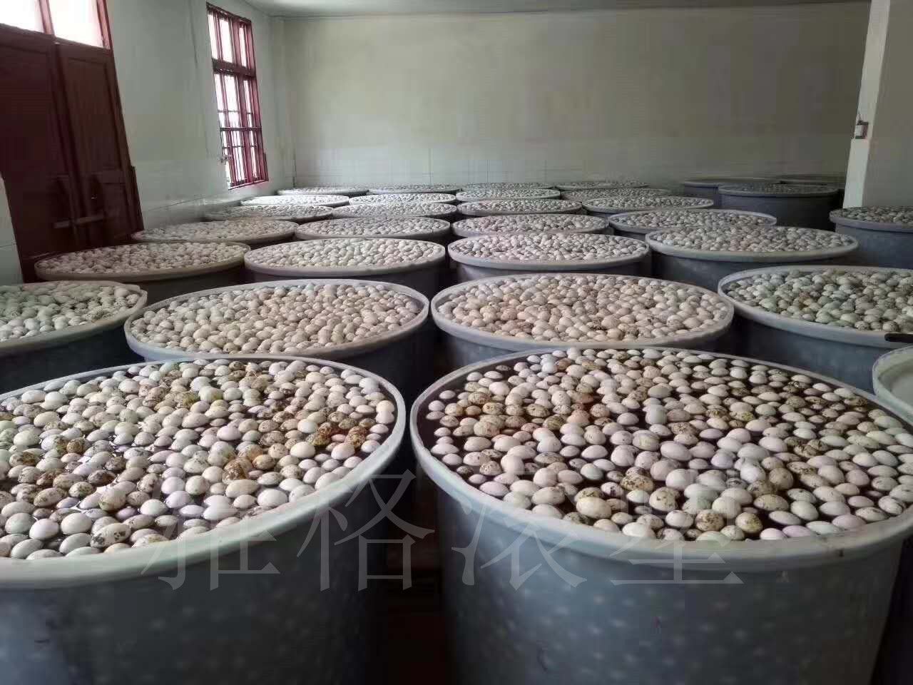 现货供应腌制桶 雅格江苏塑料圆桶 食品级pe桶尺寸可定制