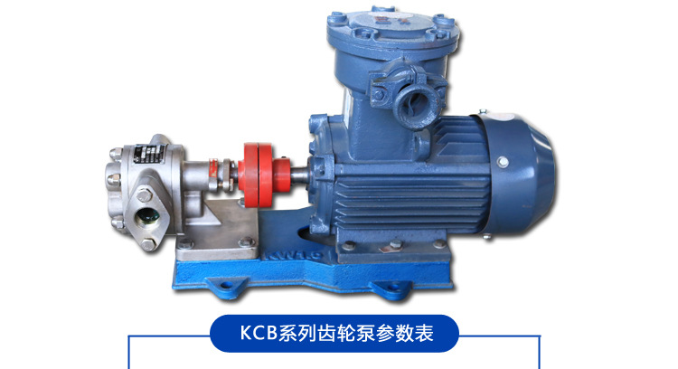 防爆化工泵 不锈钢KCB-55卫生齿轮油泵 耐高温耐腐蚀输送泵 批发示例图11