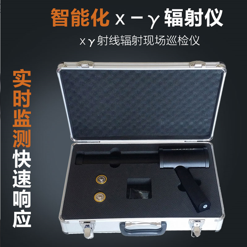 武汉仪器 SMACH RD300 х、γ辐剂量率仪 武汉销售 售后服务