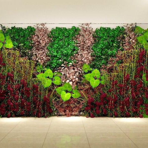 辽宁九点生态 生态植物厂家 沈阳地区植物墙 生态植物墙 植物墙定制