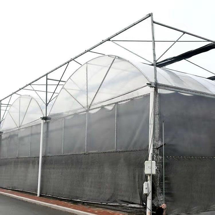 薄膜温室厂家 青州鑫泽 薄膜温室大棚 包设计方案 樱桃温室大棚 农业温室建设