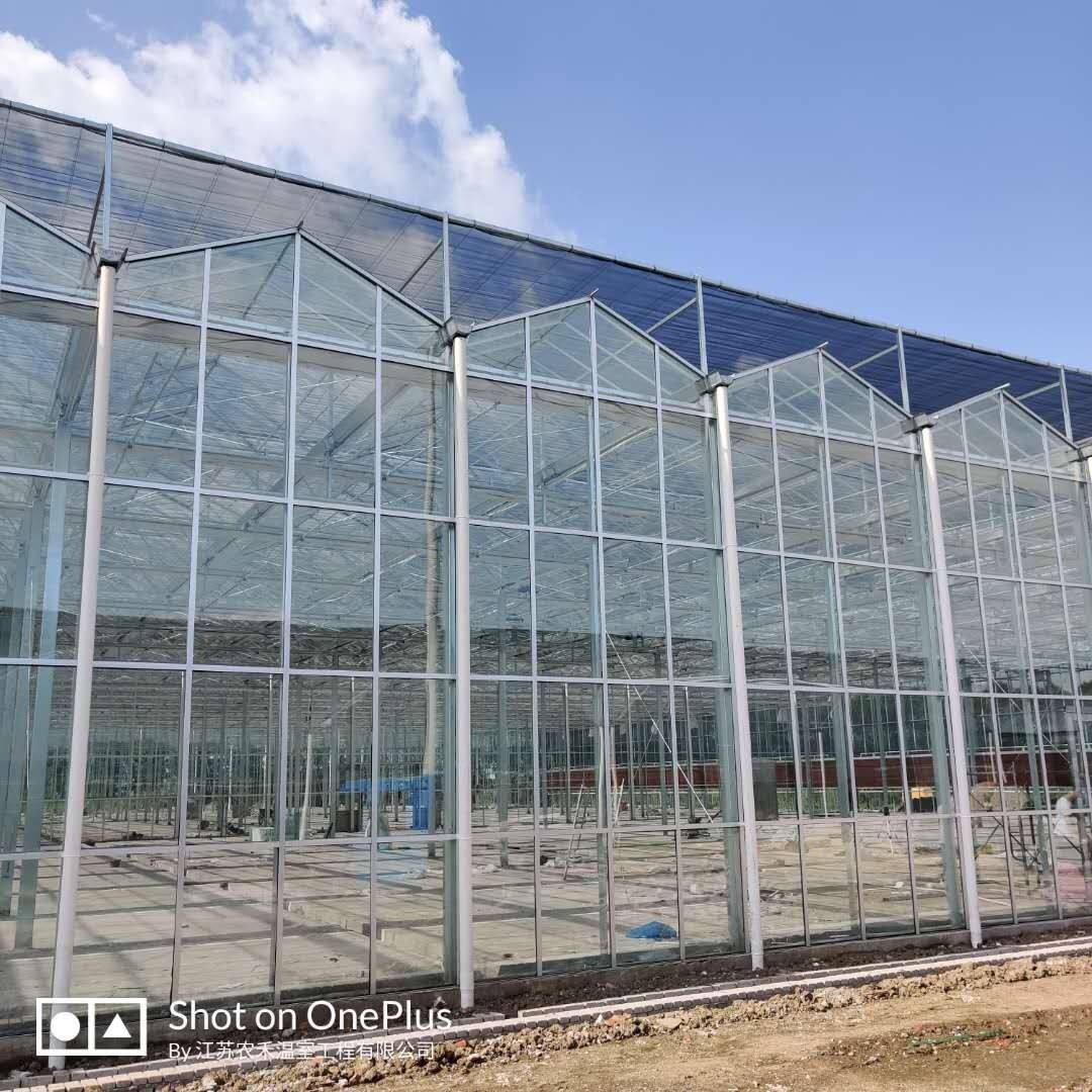 博伟 玻璃温室 玻璃智能温室 大型玻璃温室工程