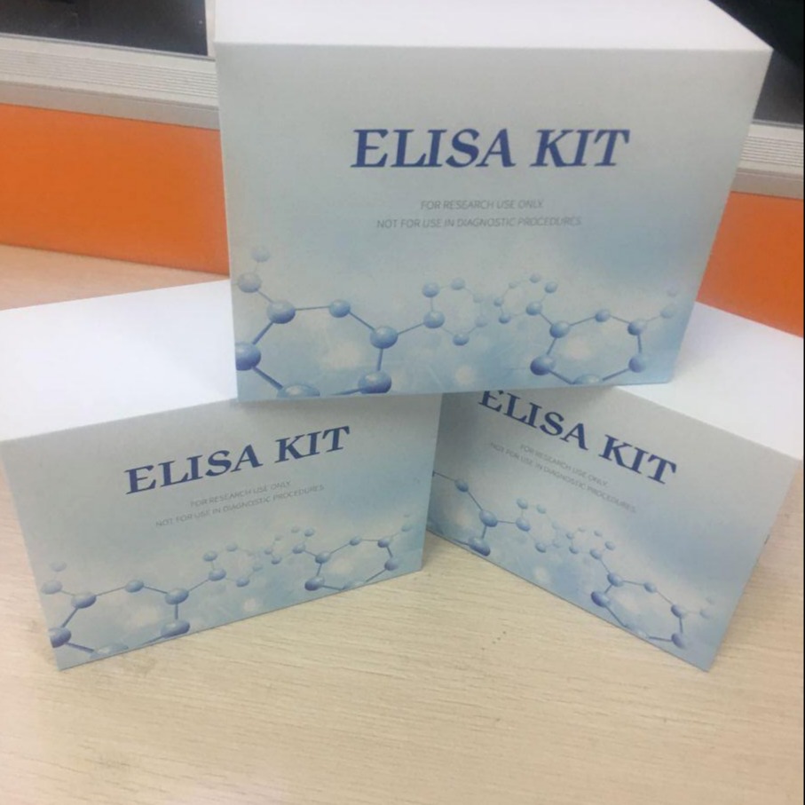 小鼠白细胞介素1β试剂盒  IL1β elisa试剂盒 仑昌硕生物