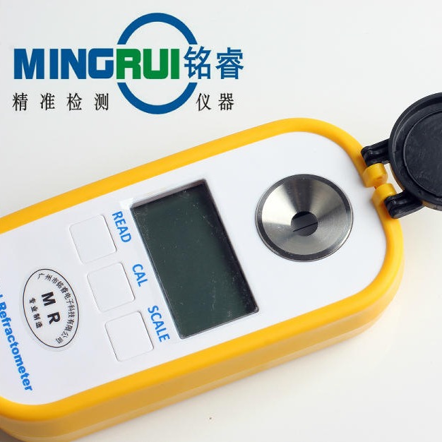 MR-SDD201 盐量仪 测盐仪 盐分检测仪