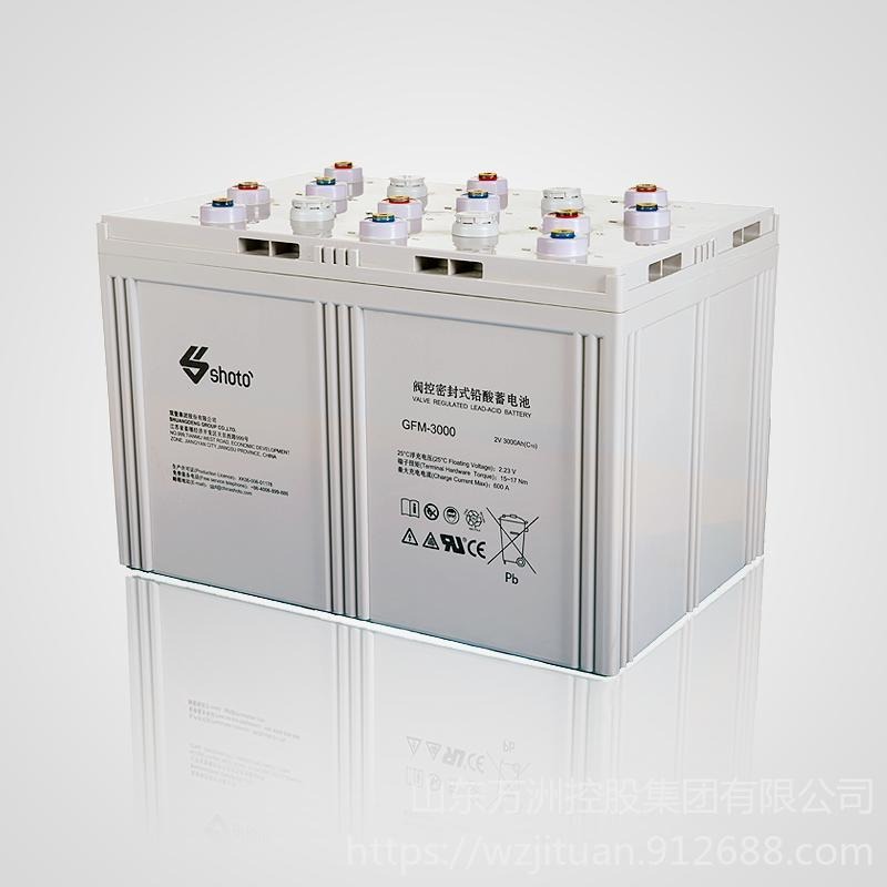 双登蓄电池GFM-3000 2V3000AH阀控密封式铅酸蓄电池 UPS/EPS直流屏配套电源 现货供应