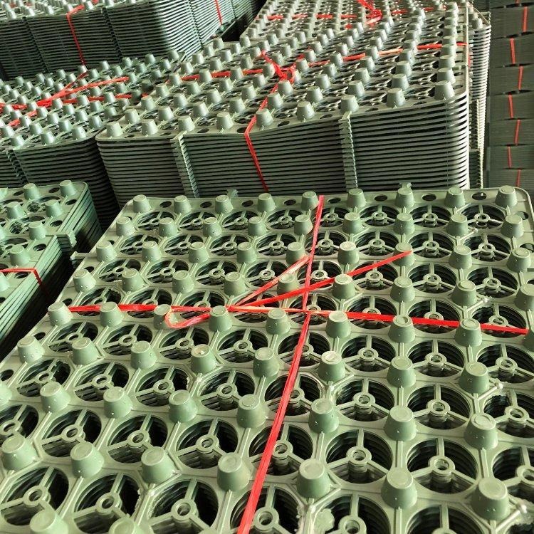 鼎诺排水板生产厂家-供应社区车库顶板绿化排水板