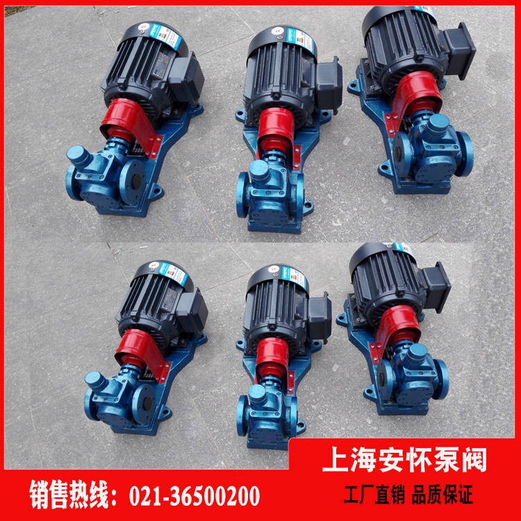 圆弧齿轮油泵 上海安怀YCB8-0.6大口径铜齿轮油泵图片