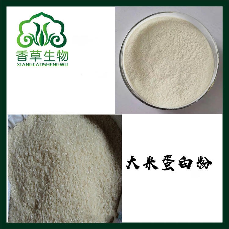 大米蛋白粉90% 大米膳食纤维粉 水解大米蛋白粉 大米纤维素60%图片