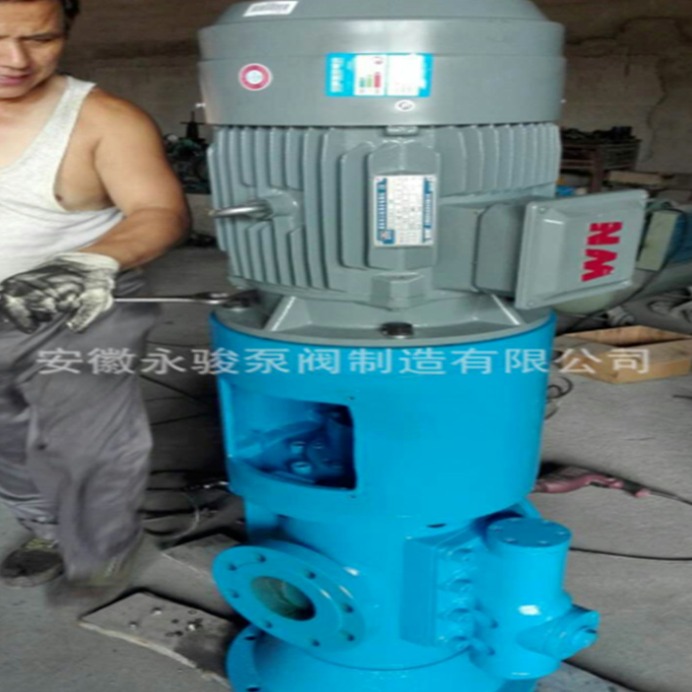 永骏 厂家直销SM三螺杆泵 SMS280R46E6.7W23 立式三螺杆泵 燃油泵