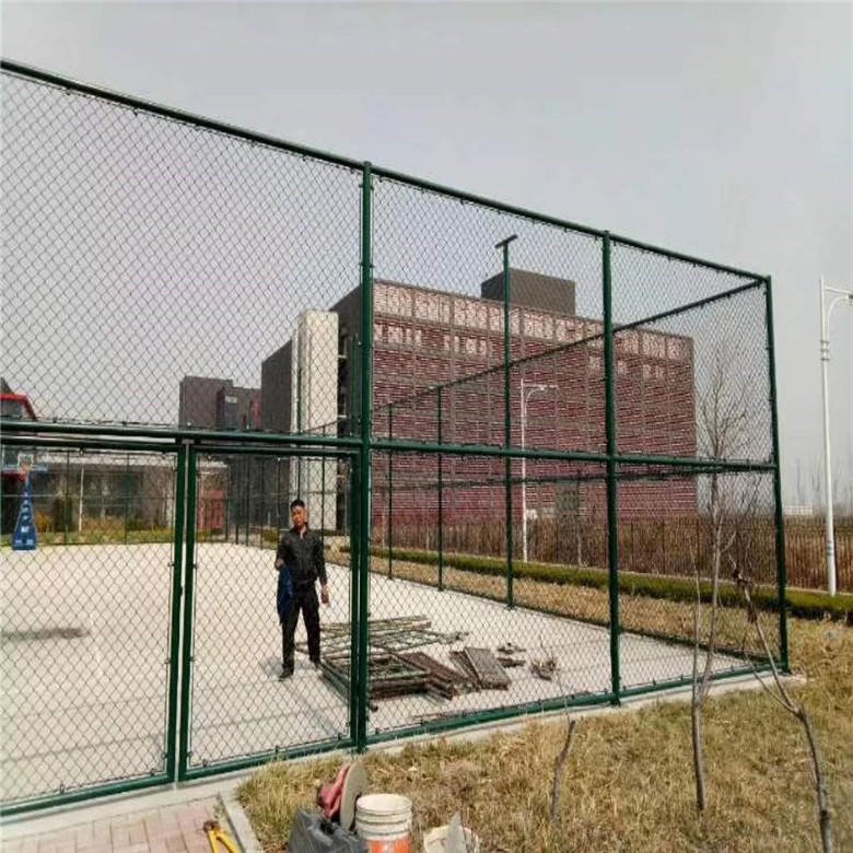 德兰现货球场围网  墨绿色勾花球场围网 厂家供应浸塑球场围网护栏