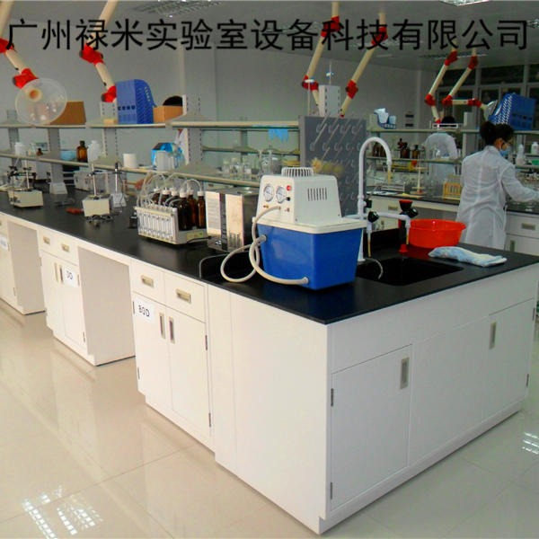 禄米实验室 全钢实验台 全钢实验边台 实验室家具 可定制LM-SYT111206