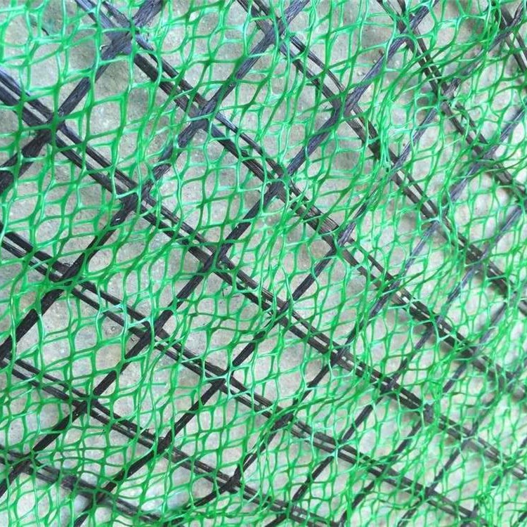 三维植被网垫   德令哈三维植被网垫厂家     鼎诺三维植被网   专业定制图片