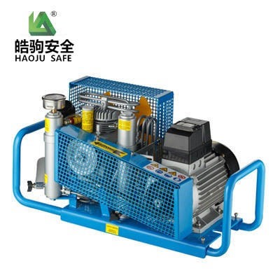 上海皓驹 MCH6/EM 220V 单相电机 意大利科尔奇 空气呼吸器充气泵 呼吸器充气泵 高压空气压缩机图片