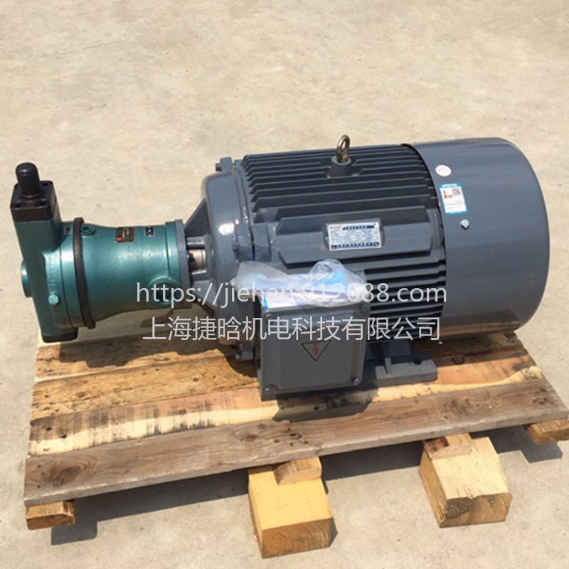 YQB200L-4 内插式CY14-1B HY系列柱塞油泵电机 30KW 液压设备电动机
