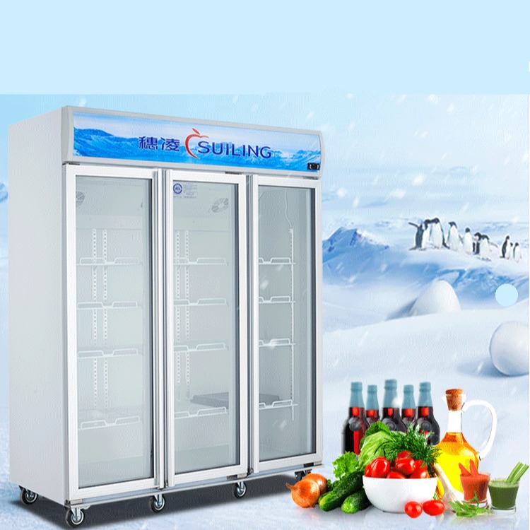 天津三门冷藏冰箱 双门水果保鲜展示柜 风冷单门饮料柜啤酒冰柜图片