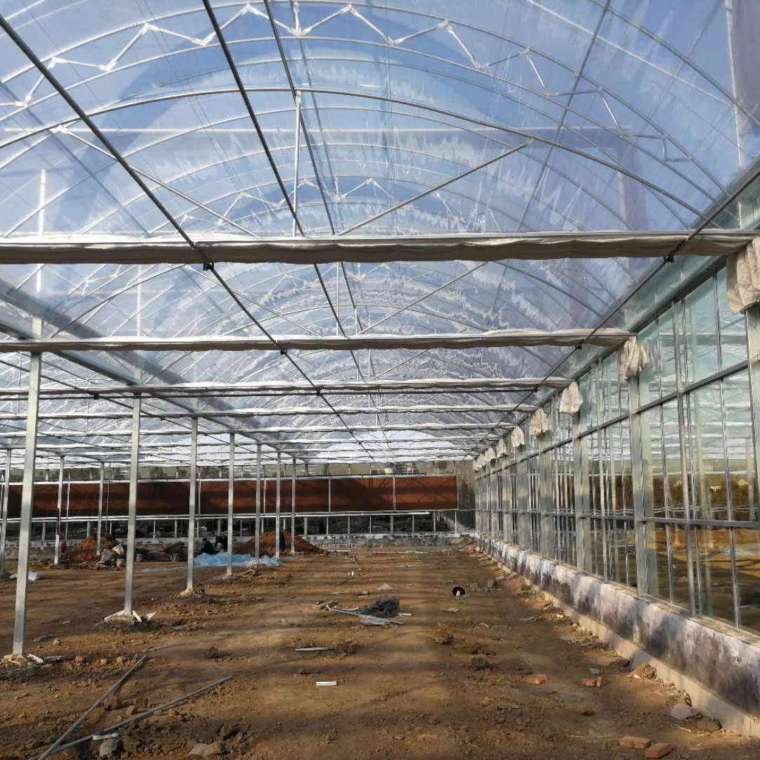 果蔬养殖连栋玻璃大棚 连栋温室大棚厂家 连栋温室大棚