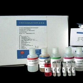 人脑红蛋白试剂盒 NGB试剂盒 脑红蛋白ELISA试剂盒 厂家直销