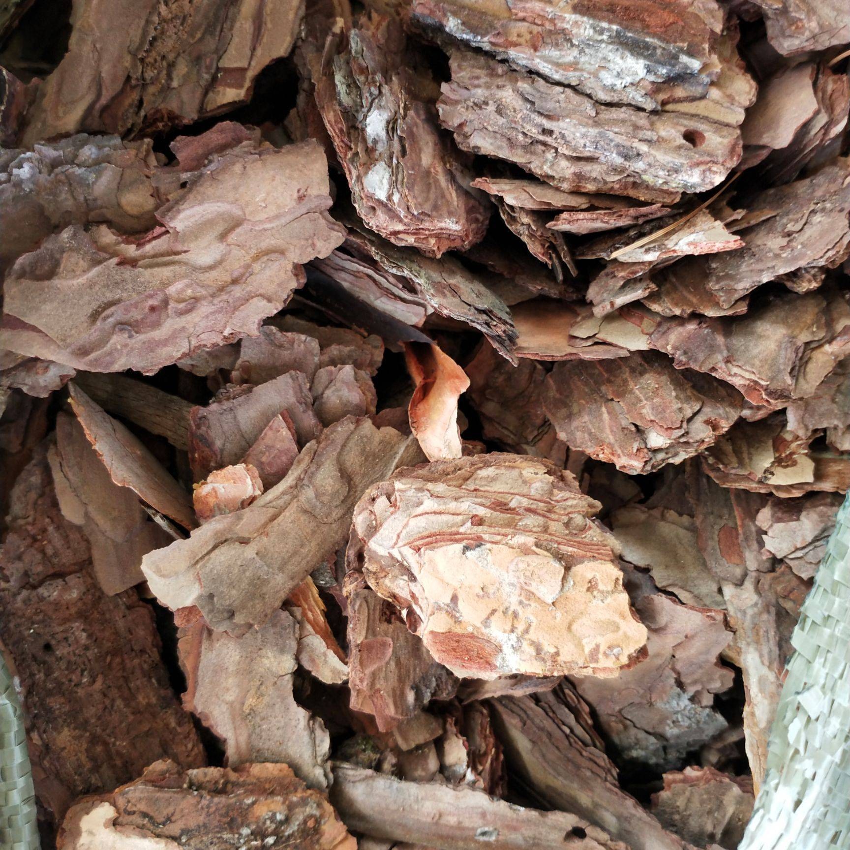 厂家供应松树皮价格 园林覆盖松树皮 除臭除味松树皮填料 量大从优 源头厂家