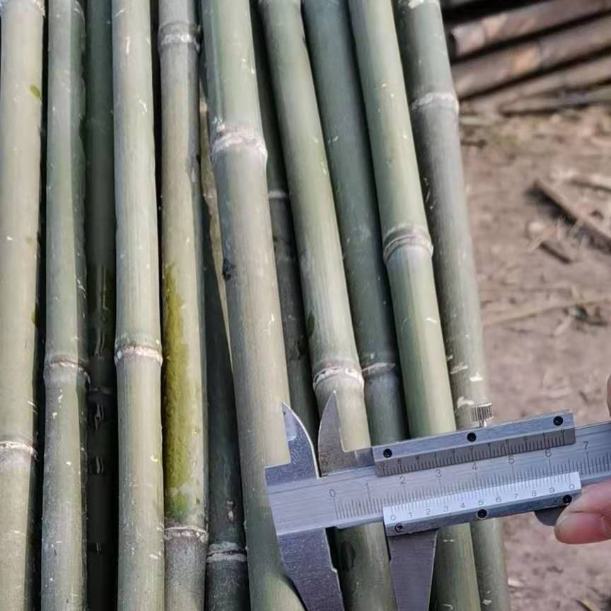 竹竿子厂家瓜果蔬菜爬藤用竹秆围栏篱笆装饰用竹子