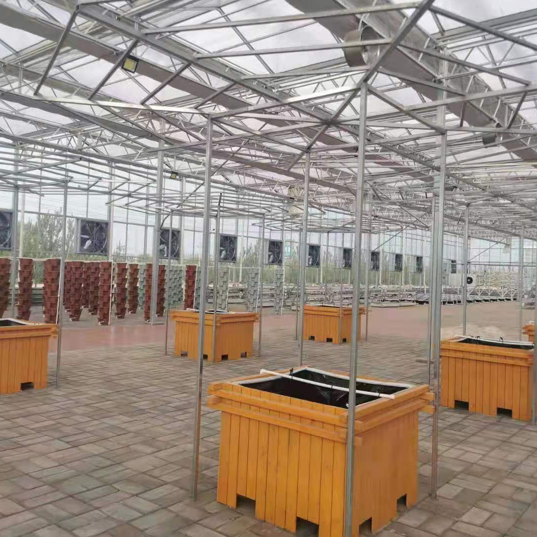 鑫泽 小型智能玻璃温室  异型玻璃温室 蔬菜育苗玻璃温室 操作方便温度可控制