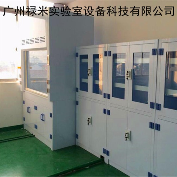 禄米实验室 耐酸碱化学药品柜酸碱柜  耐酸碱PP器皿柜  LUMI-QMG8659