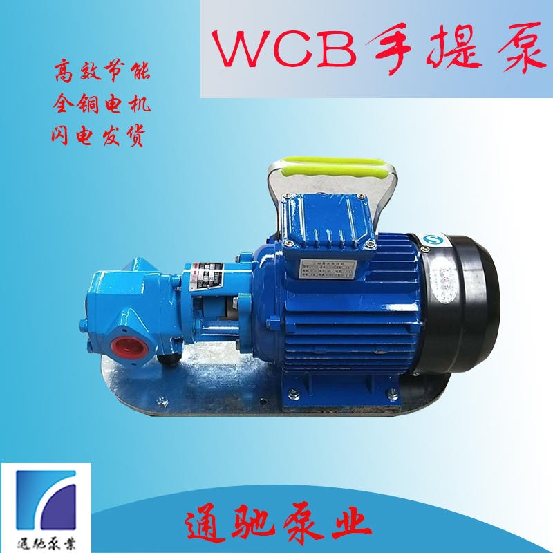 现货供应通驰牌WCB齿轮油泵 抽油桶泵 便携式手提泵 单相齿轮泵 轻型油泵