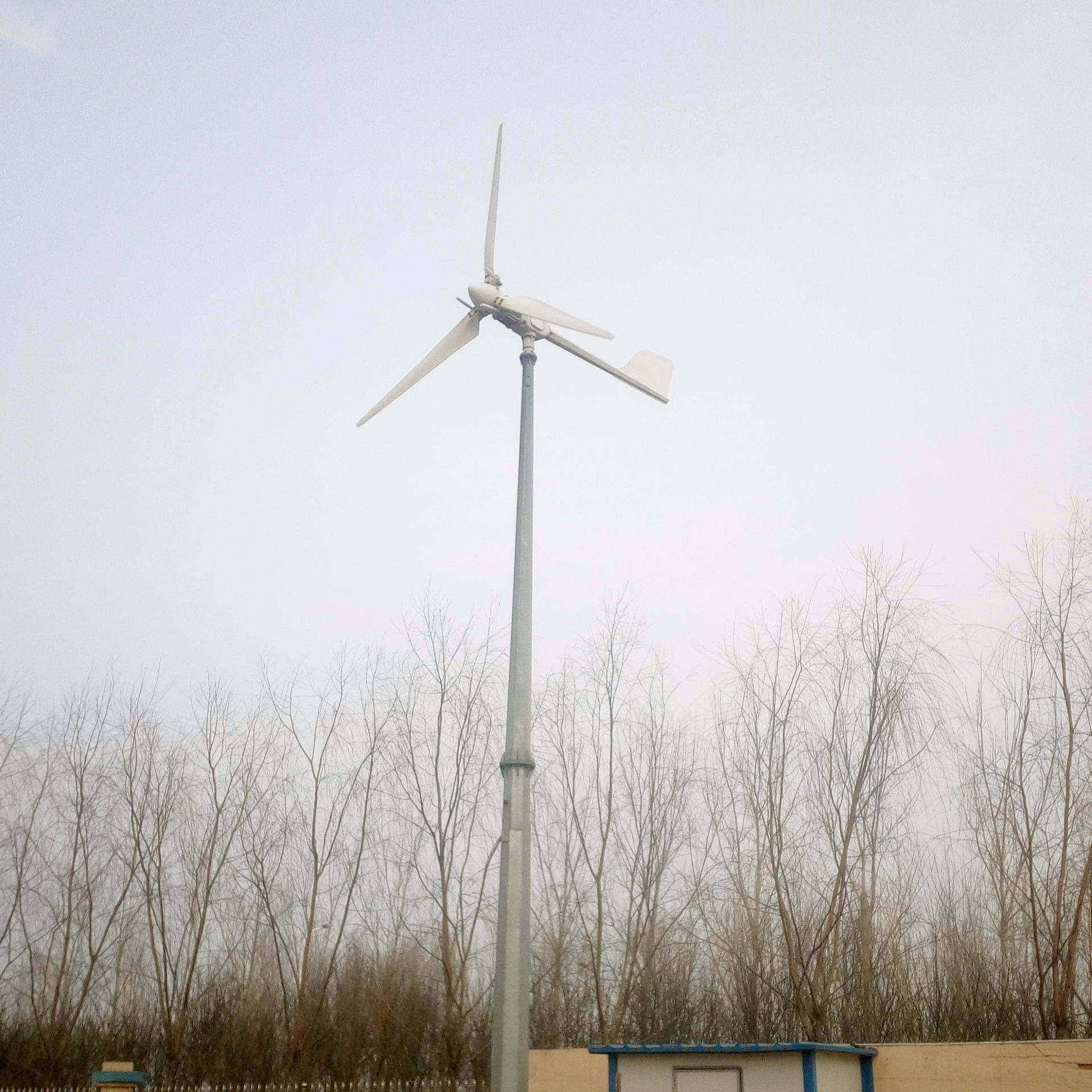 草原安装5000w型风力发电牧区养殖使用风力发电机晟成公司生产
