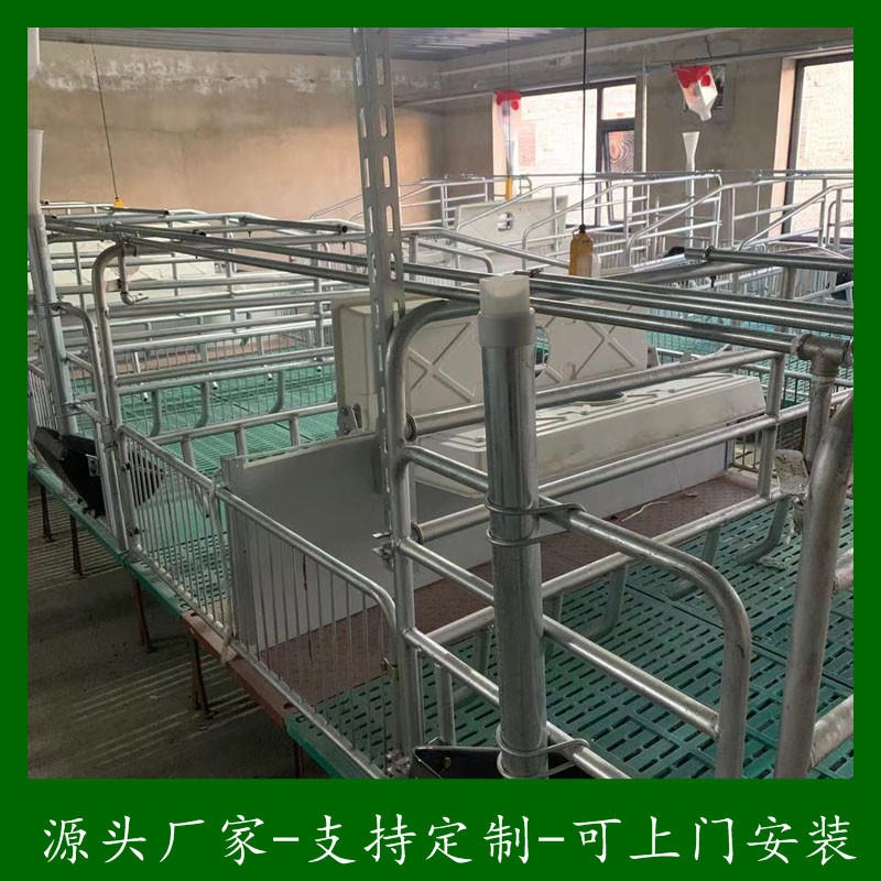 供应双体铸铁母猪产床 定位栏 小猪保育床定制