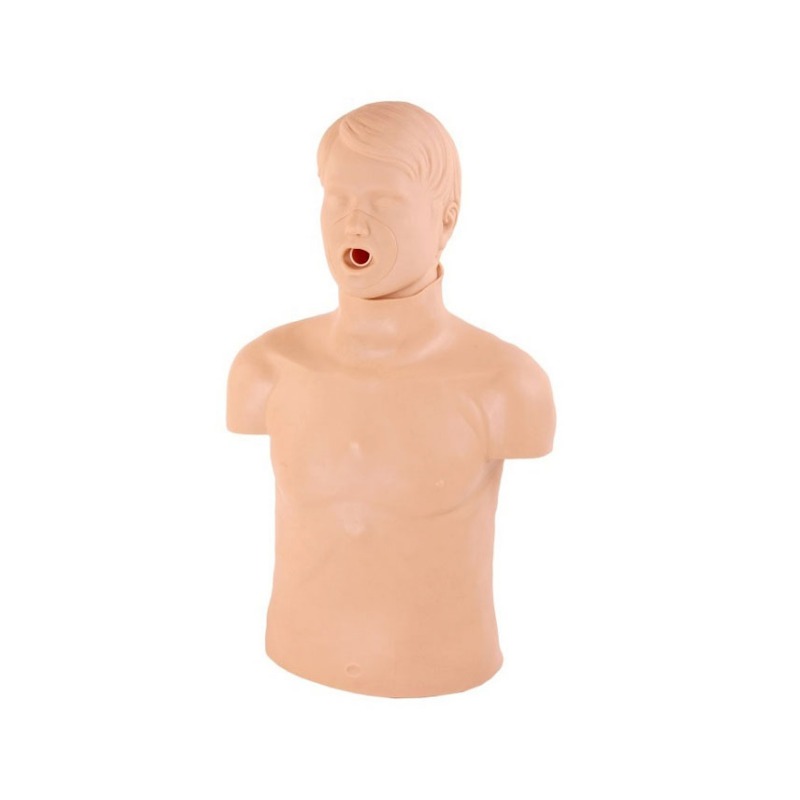 成人气道梗塞CPR模型实训考核装置  成人气道梗塞CPR模型实训设备  成人气道梗塞CPR模型综合实训台图片
