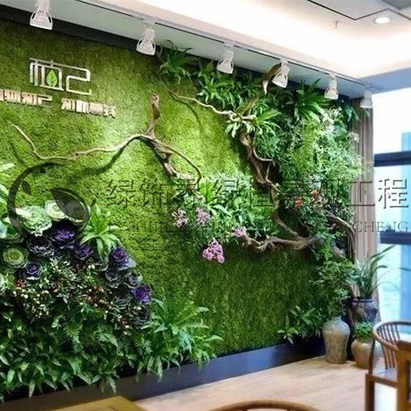 环保垂直绿化植物墙工厂 生态植物墙 生态修复 生态保健