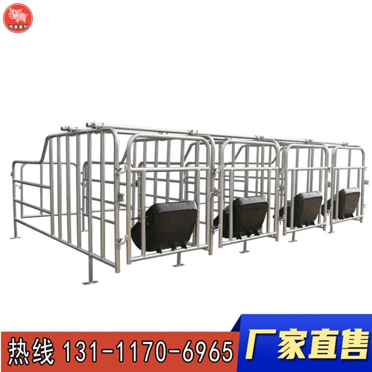 母猪定位栏 限位栏 猪用限位栏 铸铁食槽 厂家量大优惠品质保证翔誉畜牧设备
