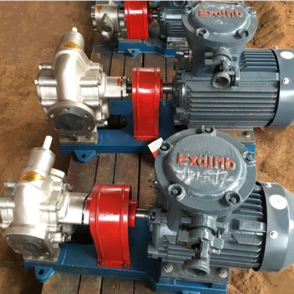 齿轮泵 油泵 鸿海泵业 质保一年 不锈钢齿轮泵