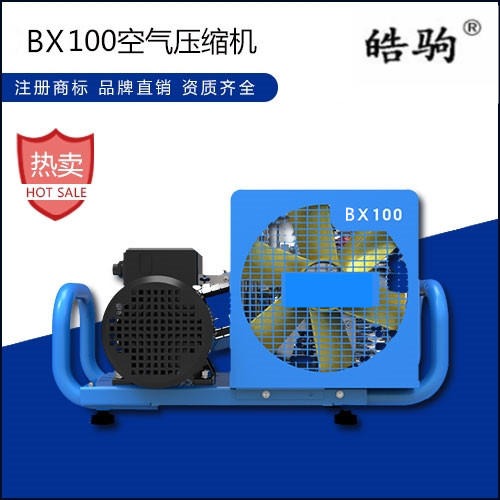 上海皓驹供应 BX100 空气充气泵 空气呼吸器充气泵出售 压缩空气填充泵