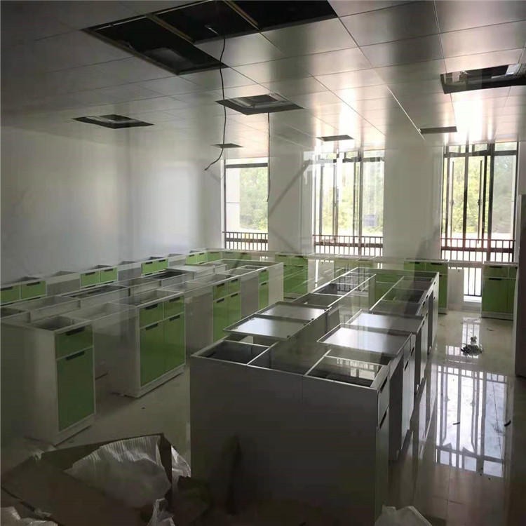 禄米 实验室家具设备 实验台生产定制