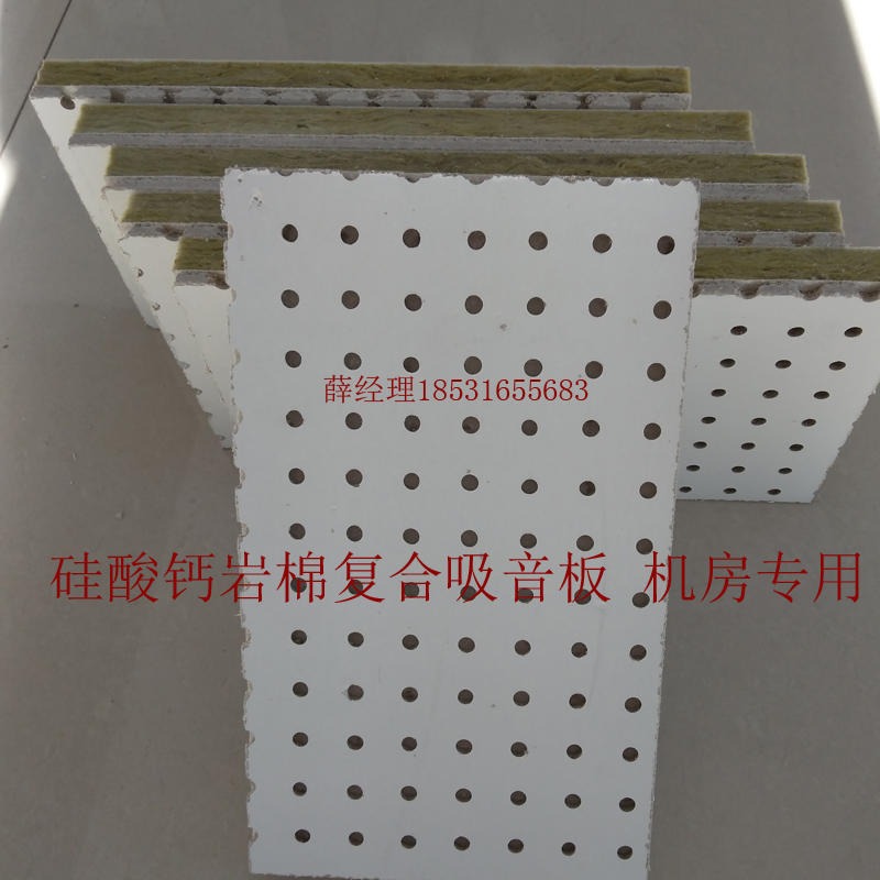 穿孔硅酸钙板  豪亚岩棉吸音板 工程吊顶硅钙板 机房专用防火吸音板价格图片