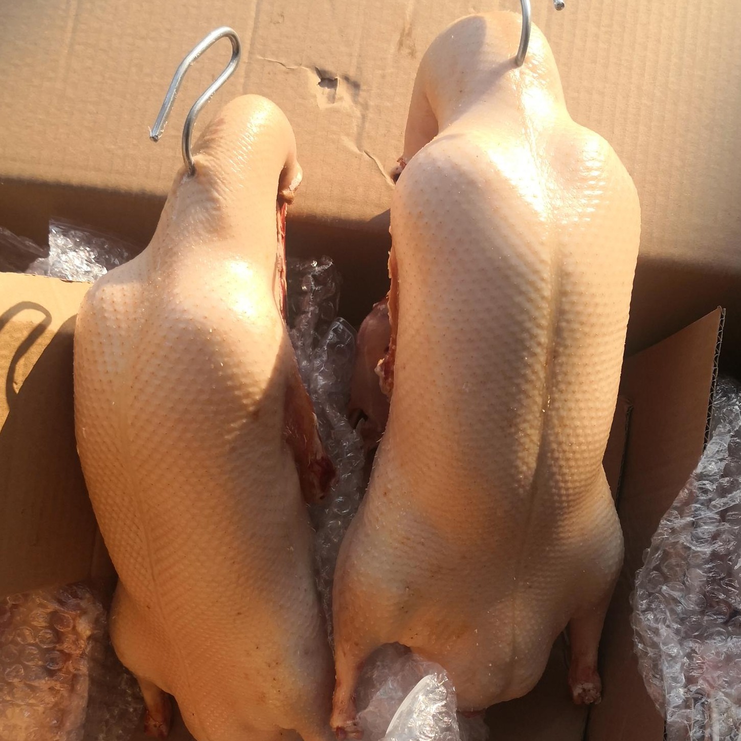 供应北京烤鸭原料传统打气鸭坯酥不腻鸭胚量大从优