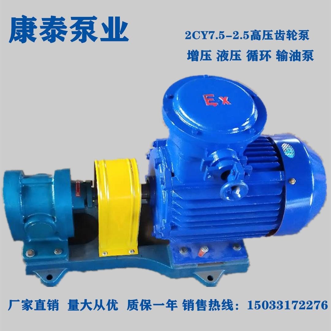 康泰泵业 2CY7.5/2.5齿轮泵 高压齿轮泵 齿轮式输油泵