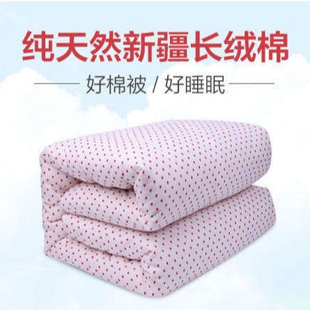 燕诺 新疆棉 平纹棉被 简约风格 加厚面料 保暖被子图片
