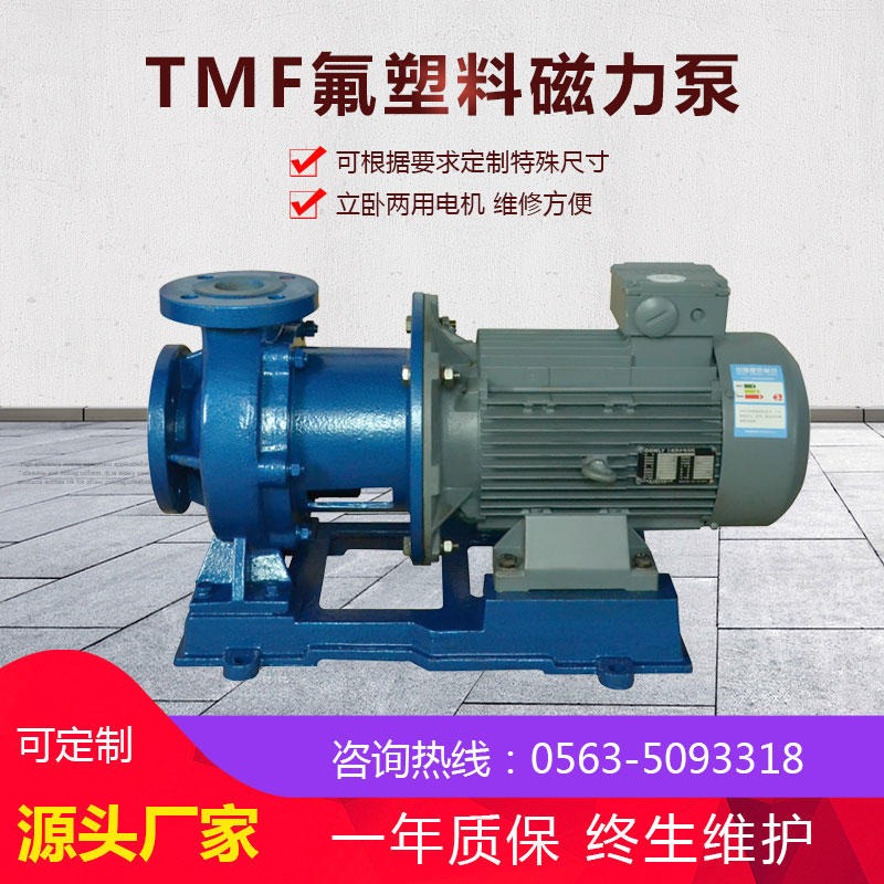 辽阳磁力泵 耐酸碱磁力泵 TMF 泵氟塑料泵 耐腐蚀泵 化工流程泵选型
