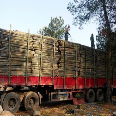 京西竹业  大量批发2米粗竹竿 树木支撑杆绿化支撑杆