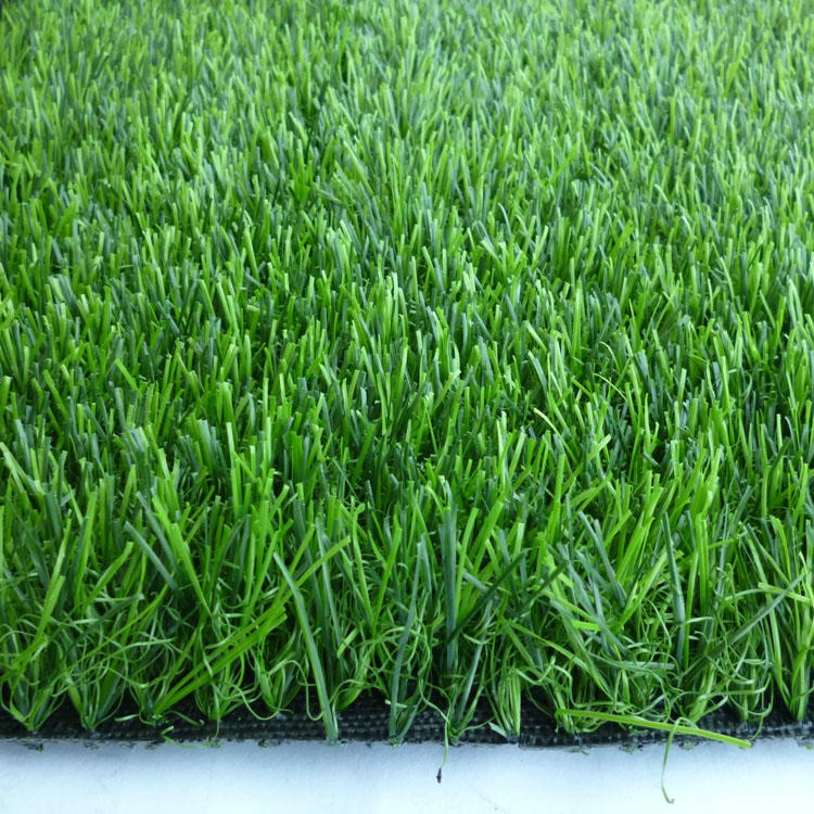 幼儿园草坪 博翔远幼儿园草坪地毯 25mm加密幼儿园人造草坪批发图片