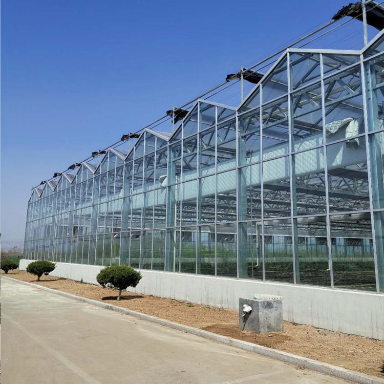 建达 JD 玻璃温室造价 玻璃大棚厂家 智能温室 玻璃温室工程 承接各种温室大棚配件建设