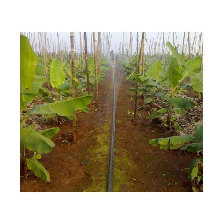 山上香蕉微喷灌溉用喷灌带 喷灌管 香蕉园微喷带主管干管毛管