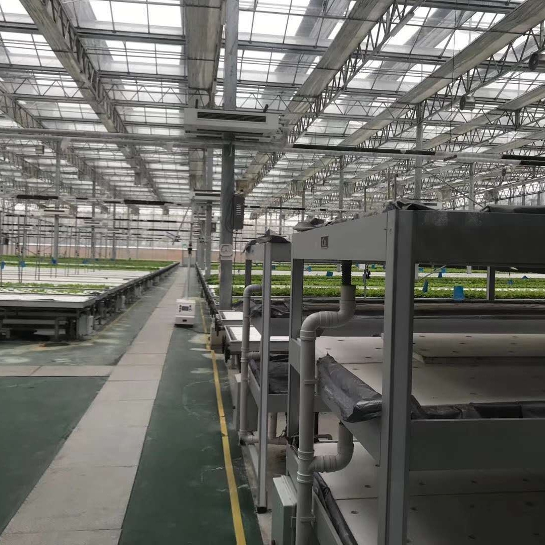 青州鑫泽农业 玻璃温室大棚 连栋玻璃温室大棚 纹络式玻璃温室设计 使用寿命长